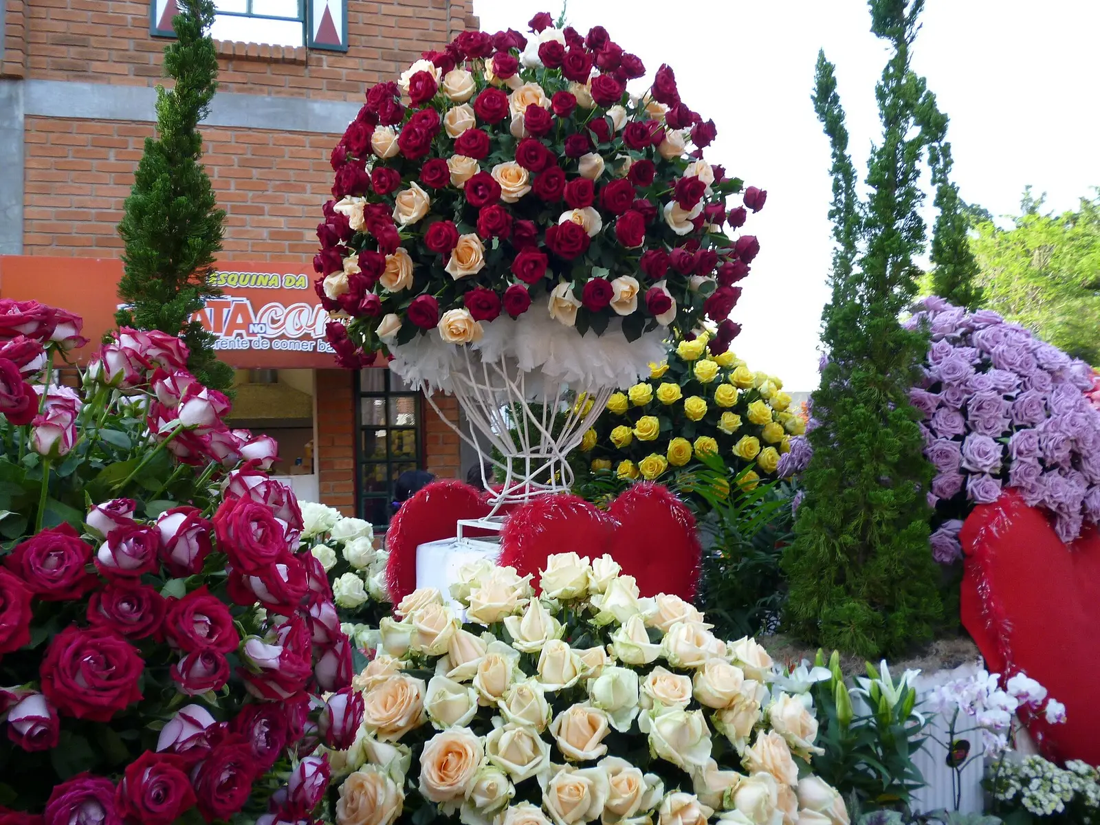 Bouquets of red, cream and yellow roses on display at Expoflora in Holambra